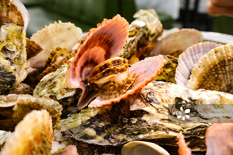 蒸汽海鲜扇贝特写图片素材