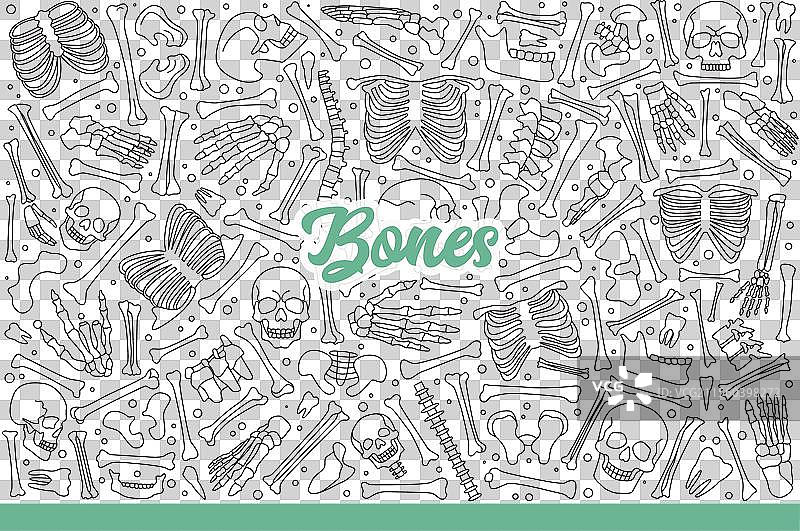 尸体的骨骼或拆解的骷髅图片素材