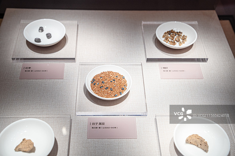 公元502-640年 饺子 红枣 谷子 黑豆 吐鲁番博物馆图片素材
