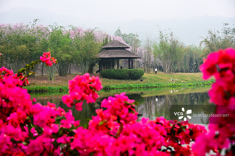 南宁青秀山的春日美景图片素材