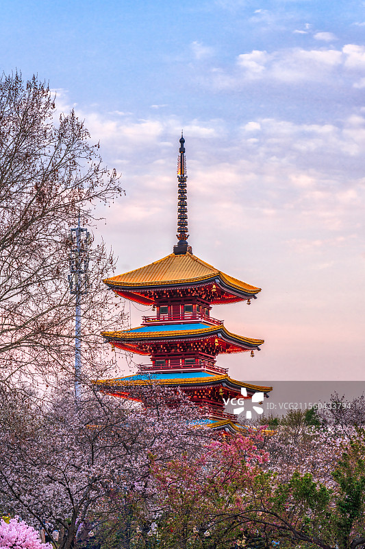 湖北省武汉市武昌区东湖公园五重塔春季樱花风光图片素材