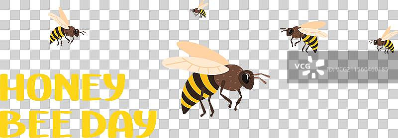 一群蜜蜂在草地上飞翔并采集花蜜图片素材