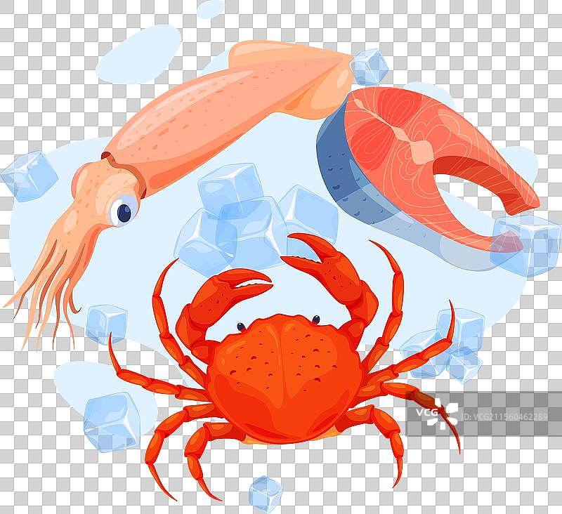 新鲜海鲜：鱿鱼、螃蟹和冰镇三文鱼排图片素材