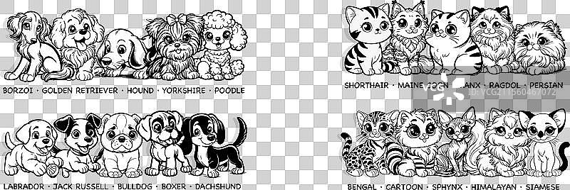 展示多种犬猫品种的多样阵列图片素材