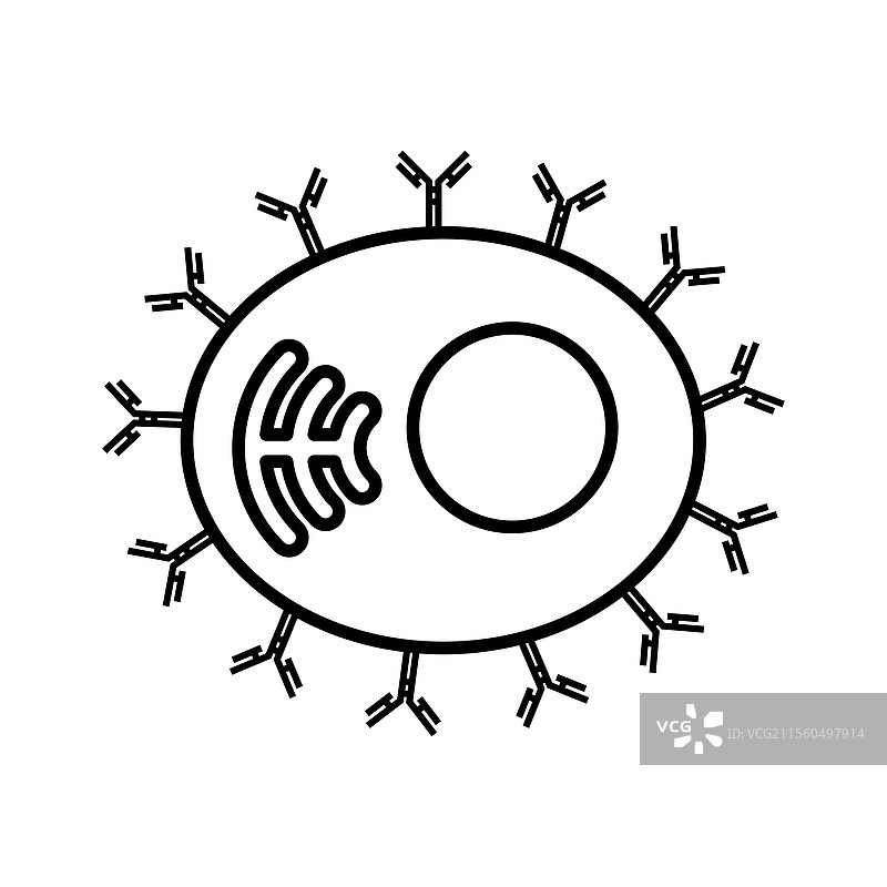 带有抗体图标的免疫细胞图片素材