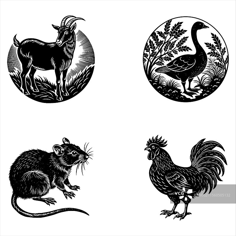 农场动物图片素材