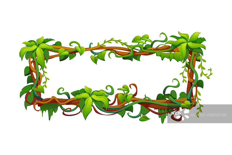 热带丛林藤蔓框架与攀爬根系图片素材
