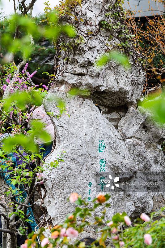 春天苏州园林之留园古典私家园林风光五峰仙馆楠木厅冠云峰等组图图片素材