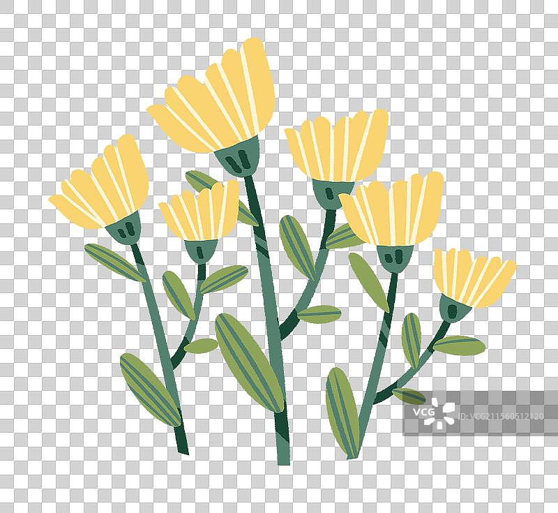 美丽的小黄花图片素材