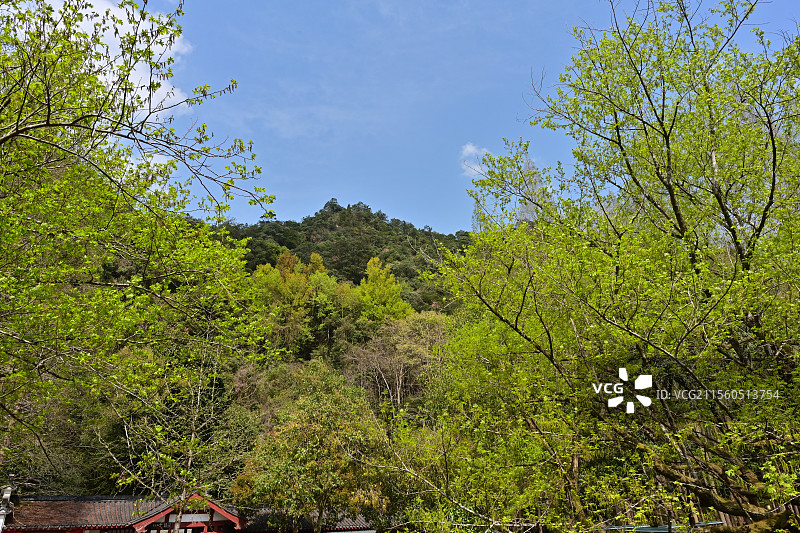 诸暨五泄瀑布禅寺图片素材