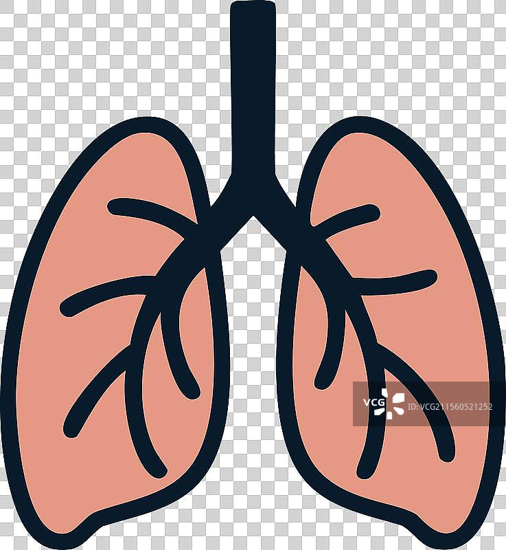 平面风格的肺部图标 医疗图片素材