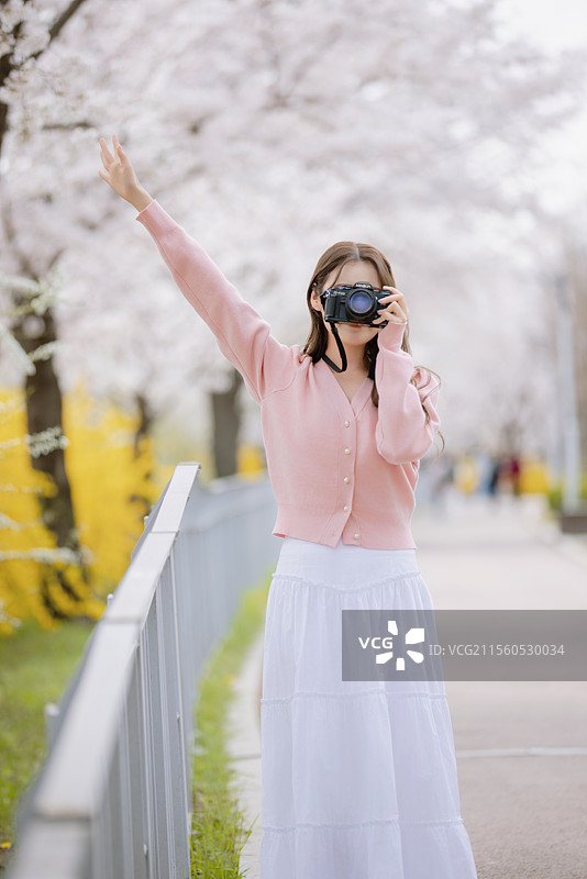 年轻女性用相机拍摄樱花的肖像图片素材