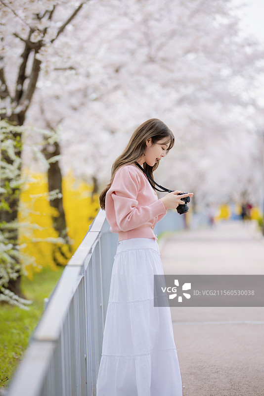 年轻女性用相机拍摄樱花的肖像图片素材