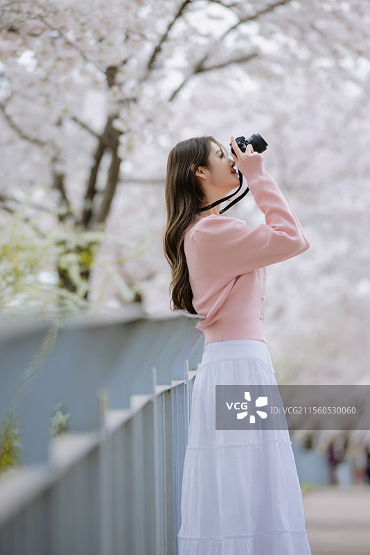 年轻女性用相机拍摄樱花的肖像图片素材