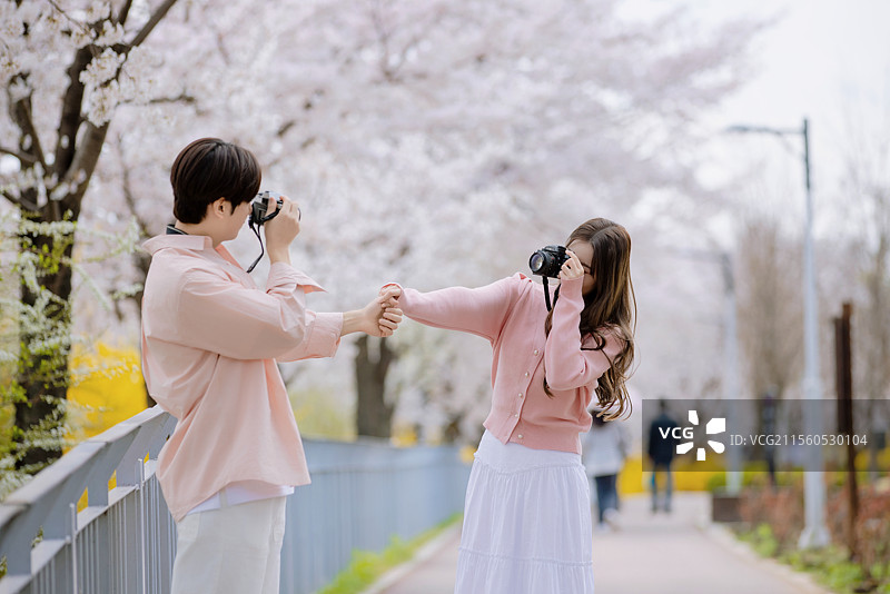一对友好的情侣在樱花盛开的街道上享受约会时光图片素材