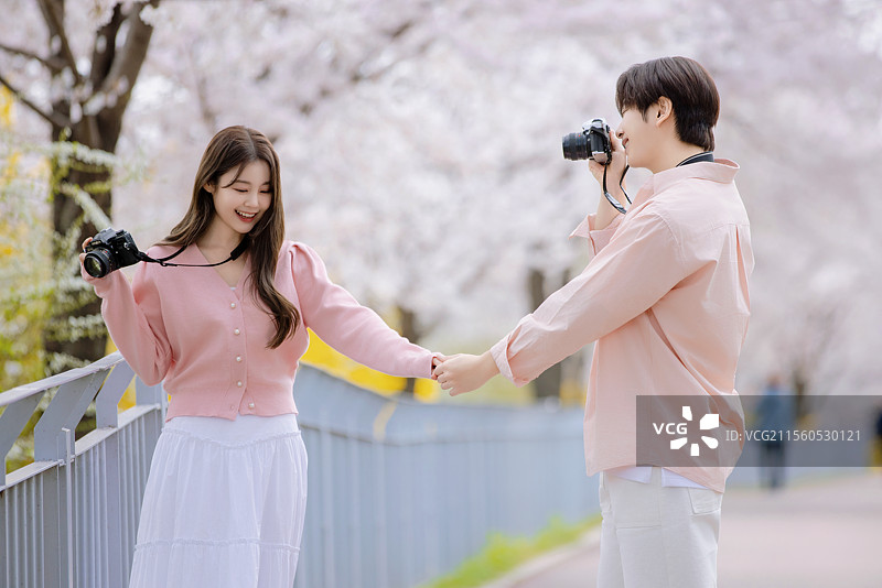 一对友好的情侣在樱花盛开的街道上享受约会时光图片素材