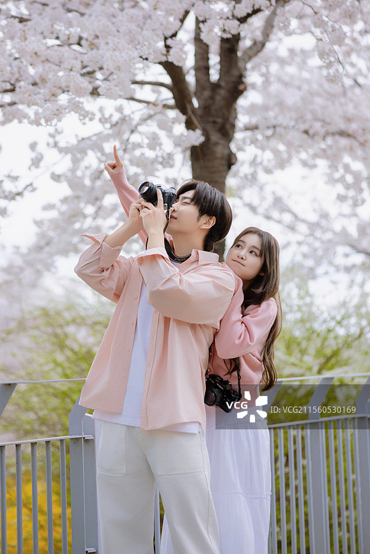 一对友好的情侣在樱花盛开的街道上享受约会时光图片素材