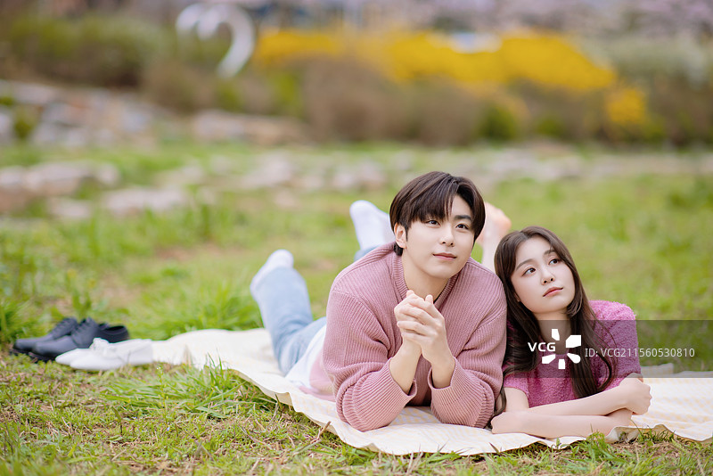 一对情侣在公园里享受约会，进行野餐。图片素材