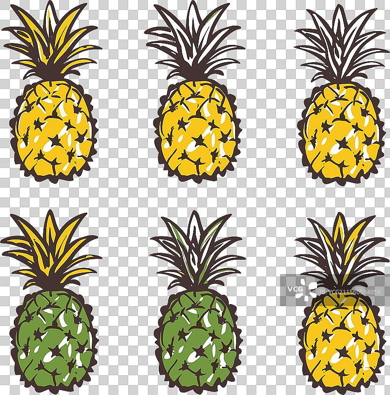 六个手绘菠萝，颜色交替排列图片素材
