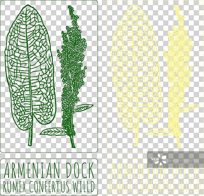 手绘的亚美尼亚码头图片素材