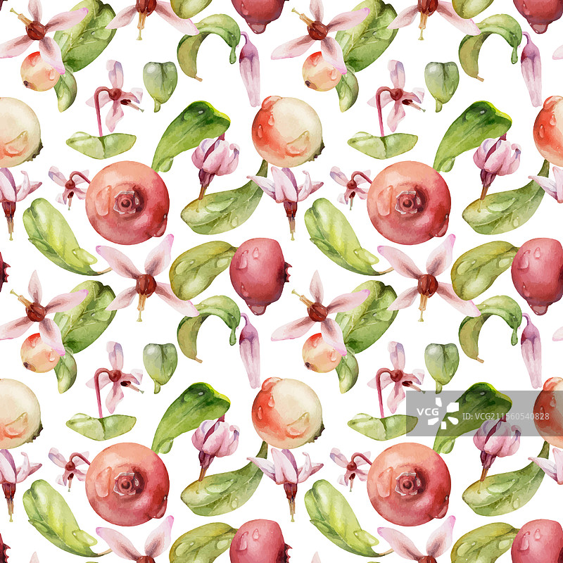 蔓越莓和越橘的粉色花朵与水中的茎图片素材