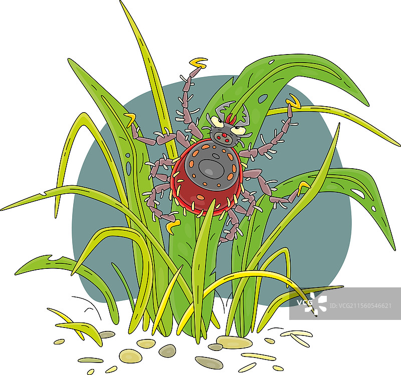 可怕的蜱虫在草地上图片素材