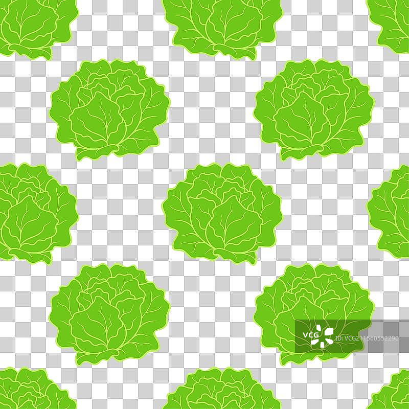 新鲜绿色有机生菜沙拉健康美味图片素材