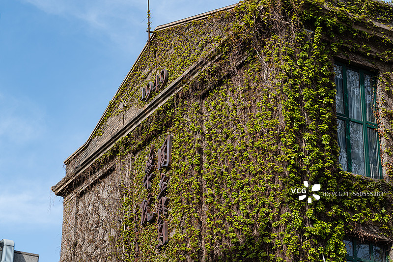中央戏剧学院爬满爬山虎的教学楼图片素材