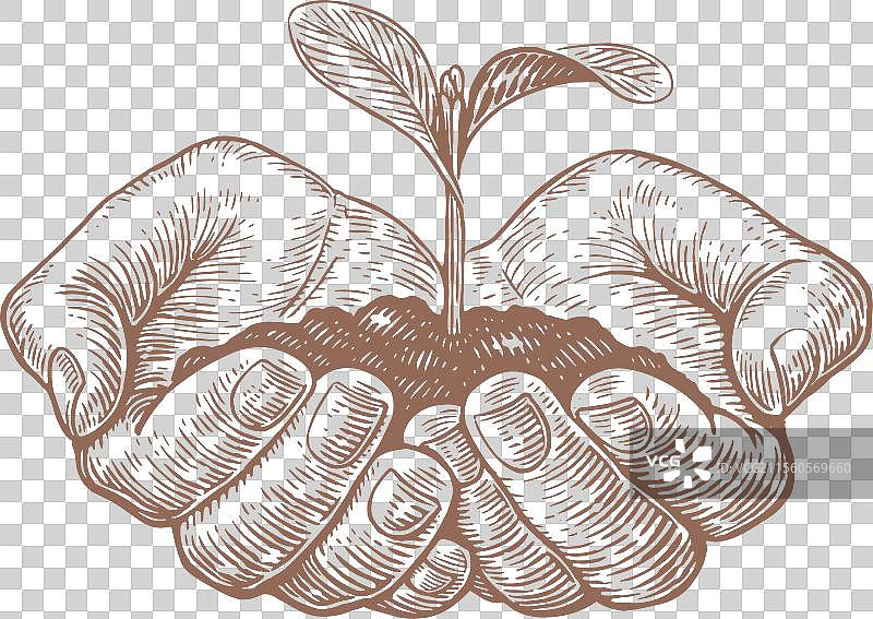 农民手持幼苗的剪贴画素描图片素材