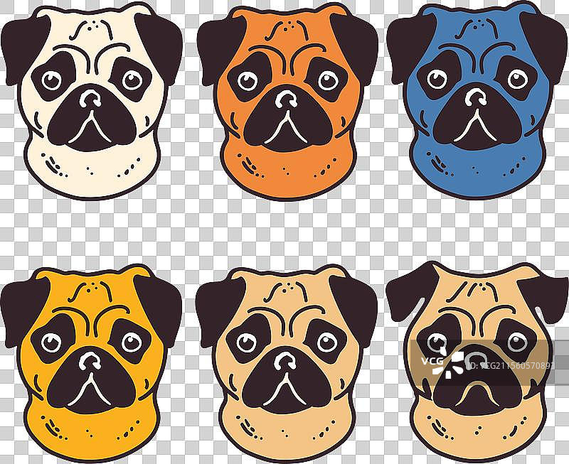 六个色彩斑斓的巴哥犬面孔展示图片素材