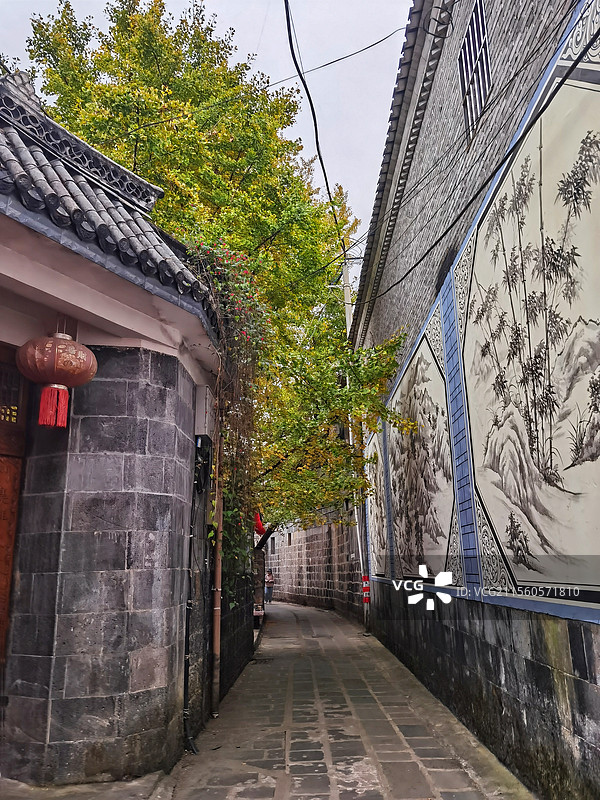 腾冲银杏村图片素材