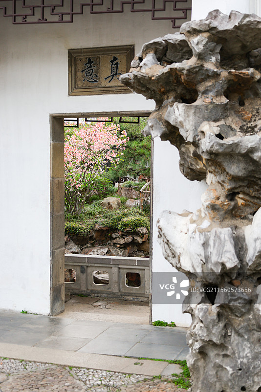 苏州古典园林之网师园春天里的花木组图图片素材