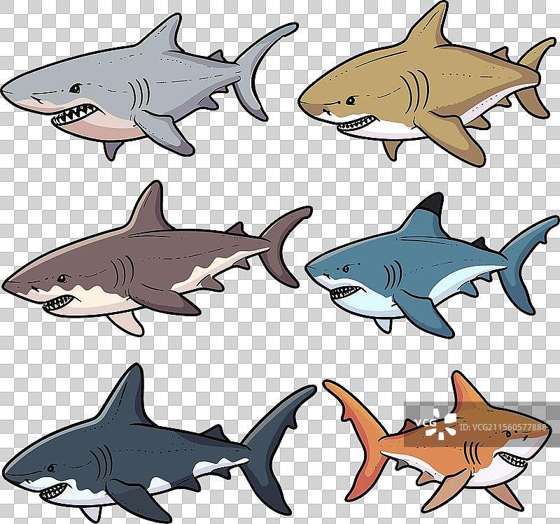 六只不同颜色的卡通鲨鱼图片素材
