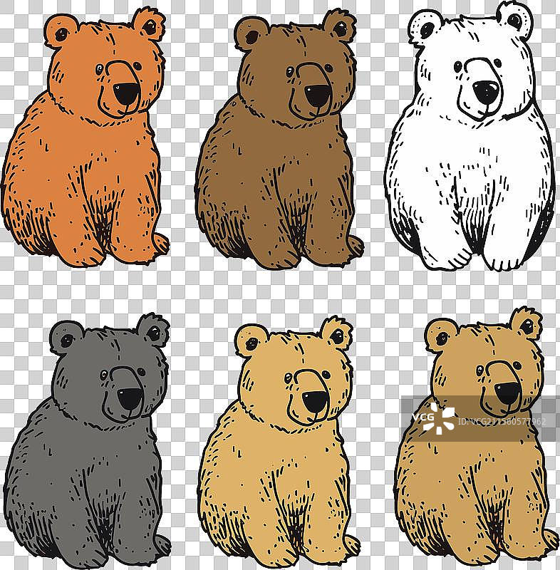 六只可爱的卡通熊，色彩缤纷图片素材