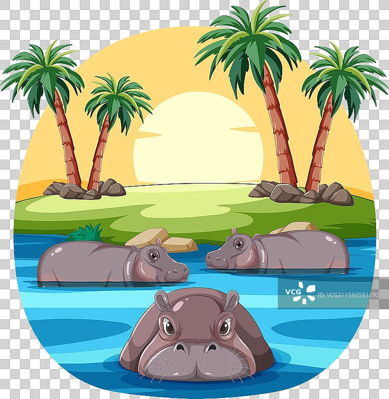 风景如画的河流中的河马图片素材