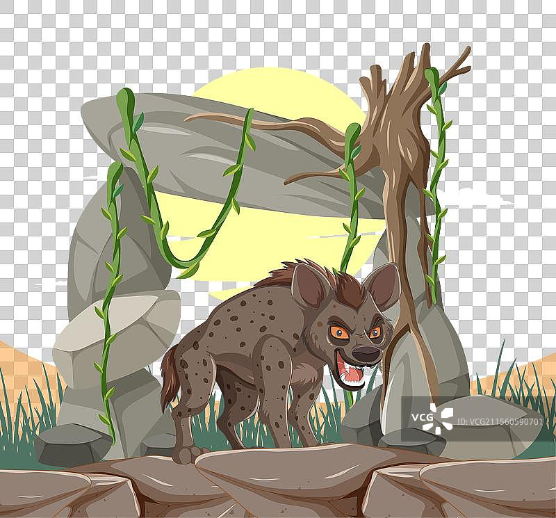 在自然环境中的土狼图片素材