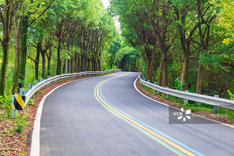 江苏省常州市溧阳一号公路，树林中一条蜿蜒的公路，彩虹色标识线图片素材