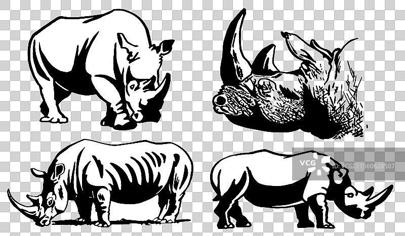 孤立在白色背景上的犀牛图形集图片素材