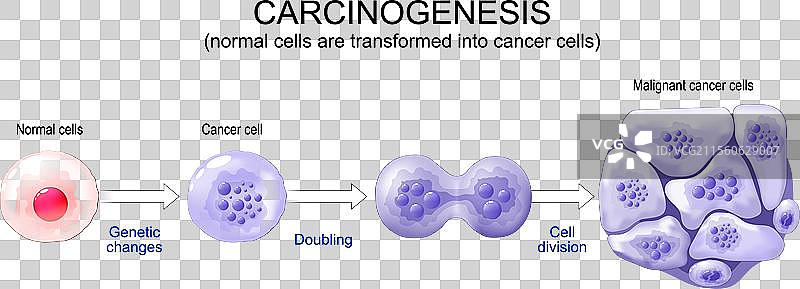 从基因突变到癌变图片素材