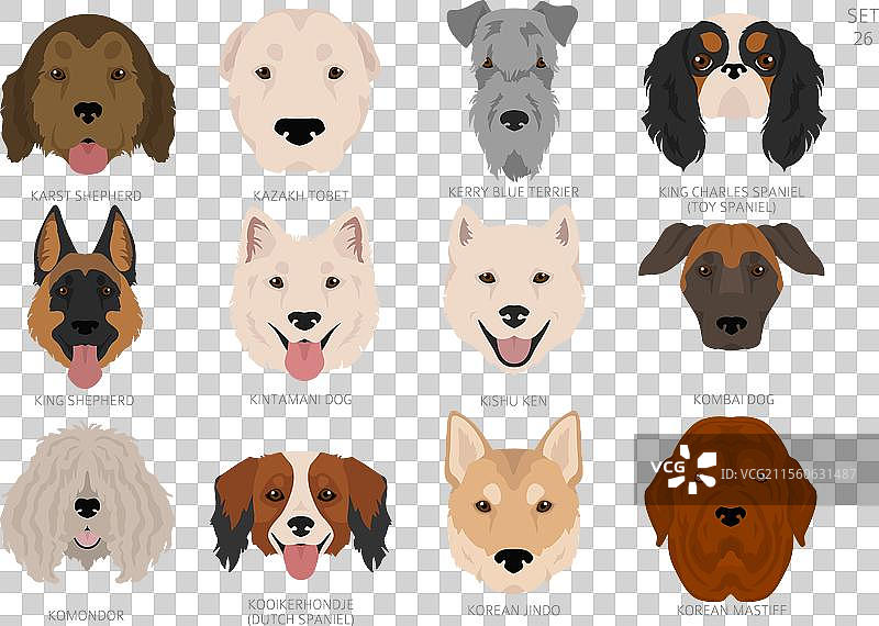 按字母顺序排列的所有犬种颜色的狗头图片素材