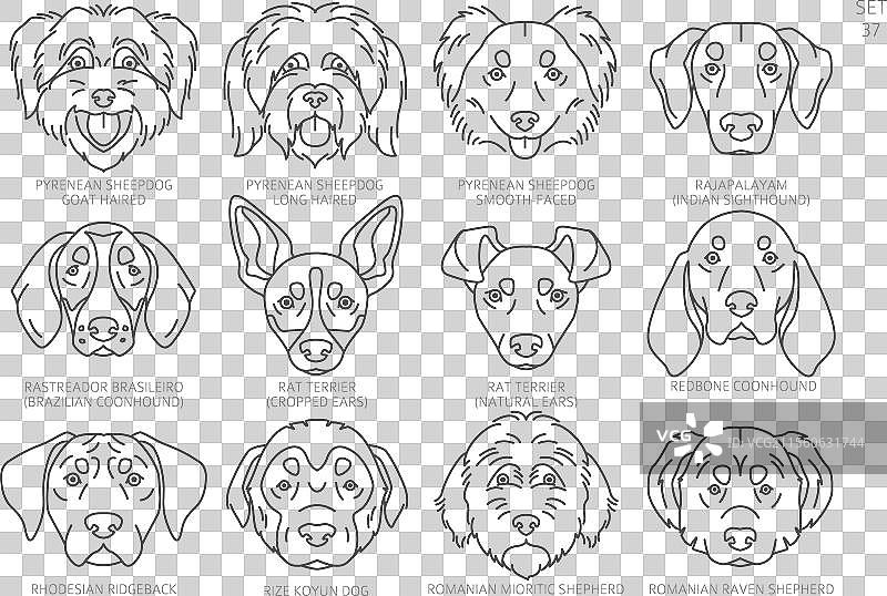 按字母顺序排列的狗头轮廓图形图片素材