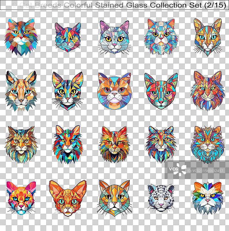五彩斑斓的猫品种彩绘玻璃可爱猫咪图片素材