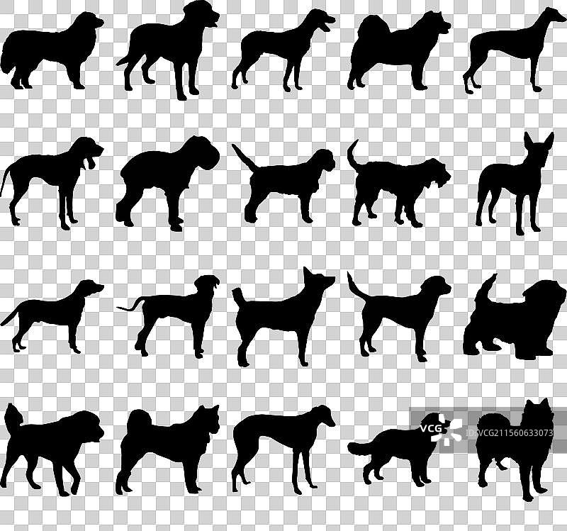 狗品种轮廓剪影合集图片素材