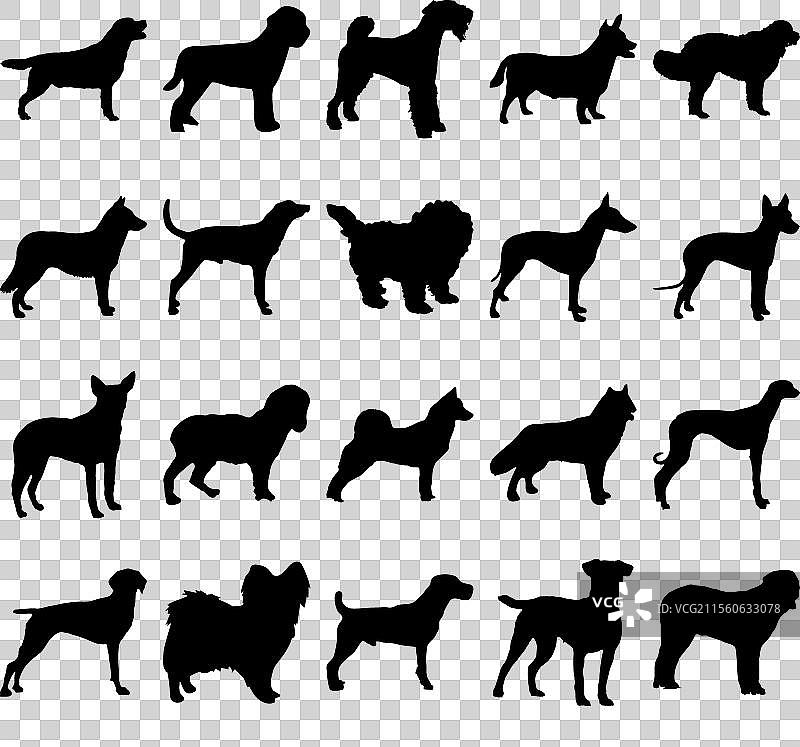 狗品种轮廓剪影合集图片素材