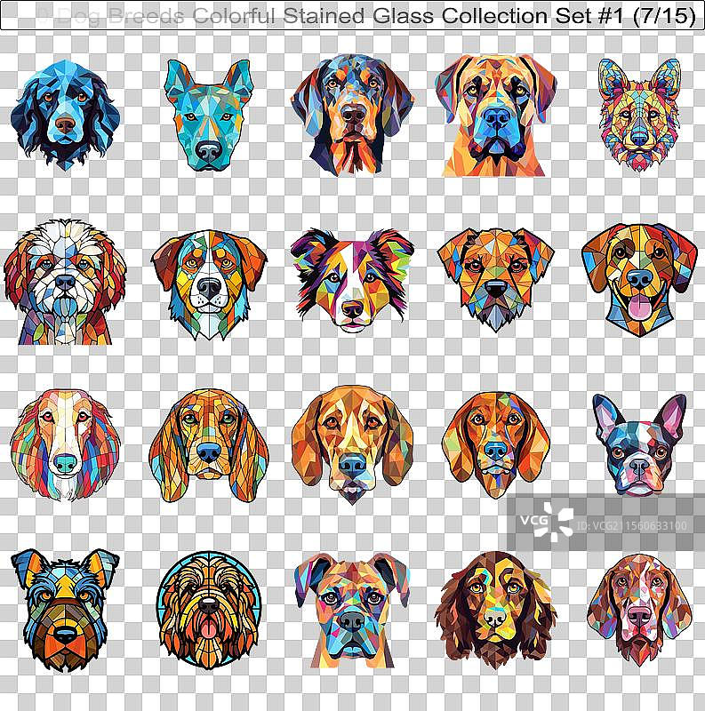 五彩斑斓的狗品种彩绘玻璃可爱狗狗图片素材