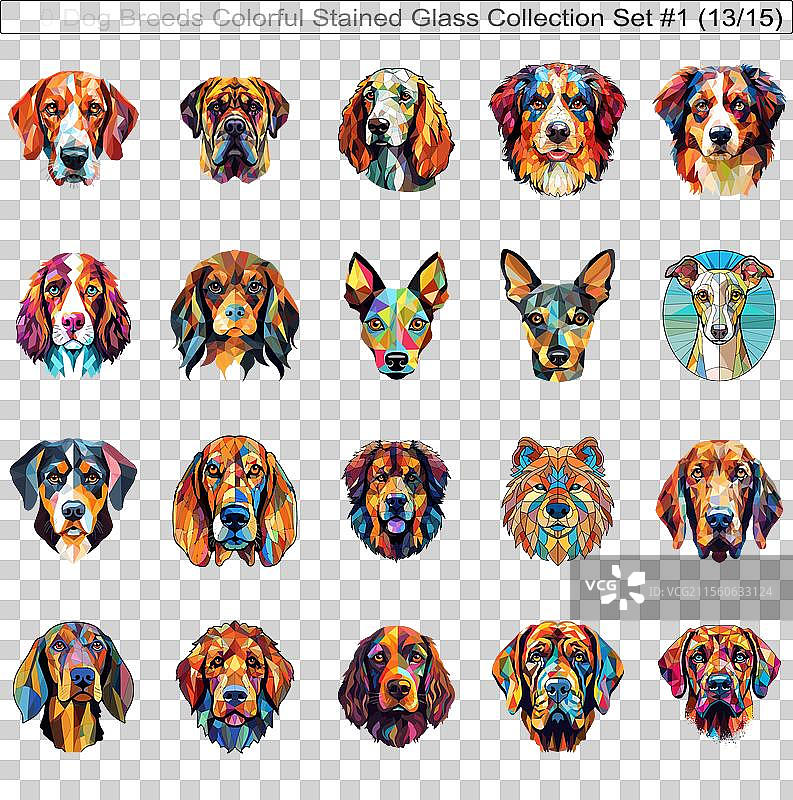 五彩斑斓的狗品种彩绘玻璃可爱狗狗图片素材