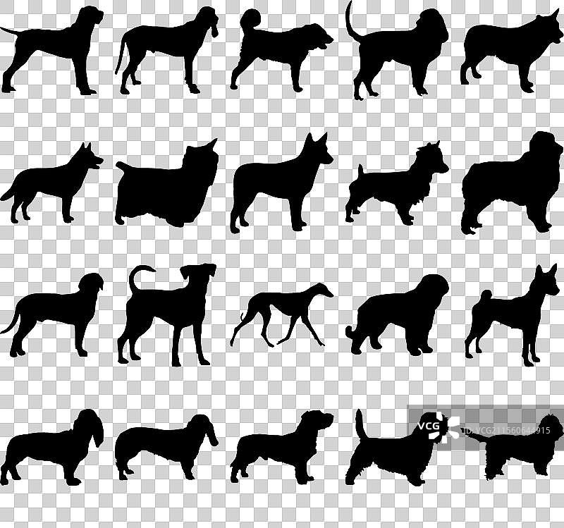 狗品种剪影套装合集图片素材