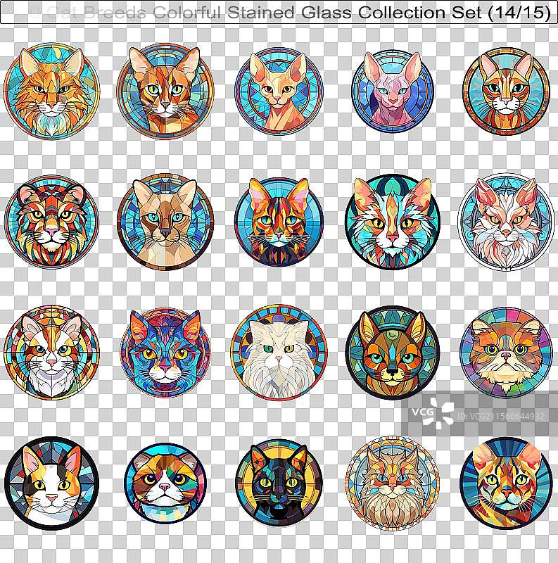 五彩斑斓的猫品种彩绘玻璃可爱猫咪图片素材