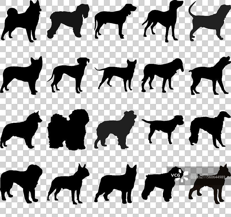 狗品种剪影套装合集图片素材