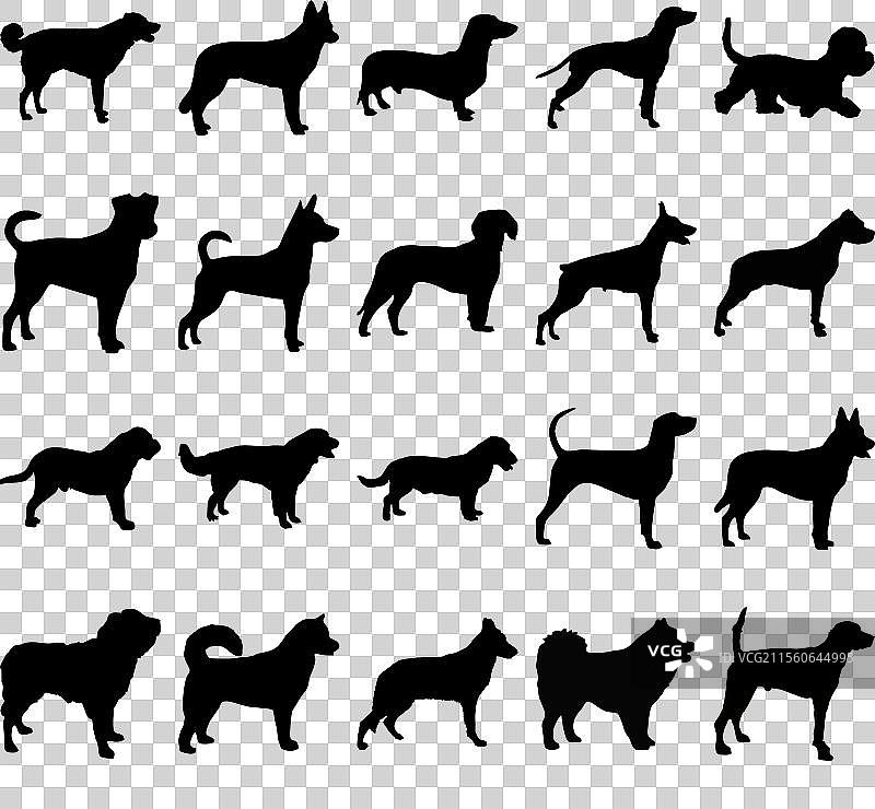 狗品种剪影套装合集图片素材